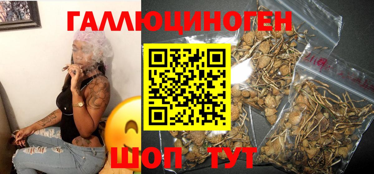 Касимов  Галлюциногенные грибы мухоморы  Вход с VPN 