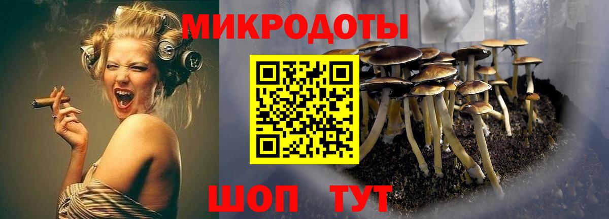 Псилоцибиновые грибы Psilocybe Касимов